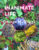 inanimate life cover